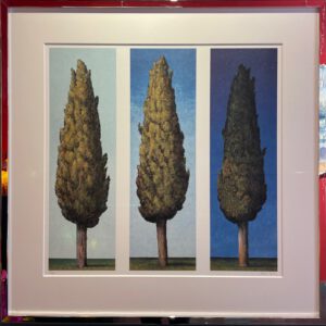 Rasch, Folkert - Zypressenblau