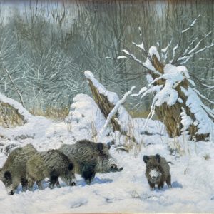 Csergezan, Pal - Schwarzwildrotte im Winter