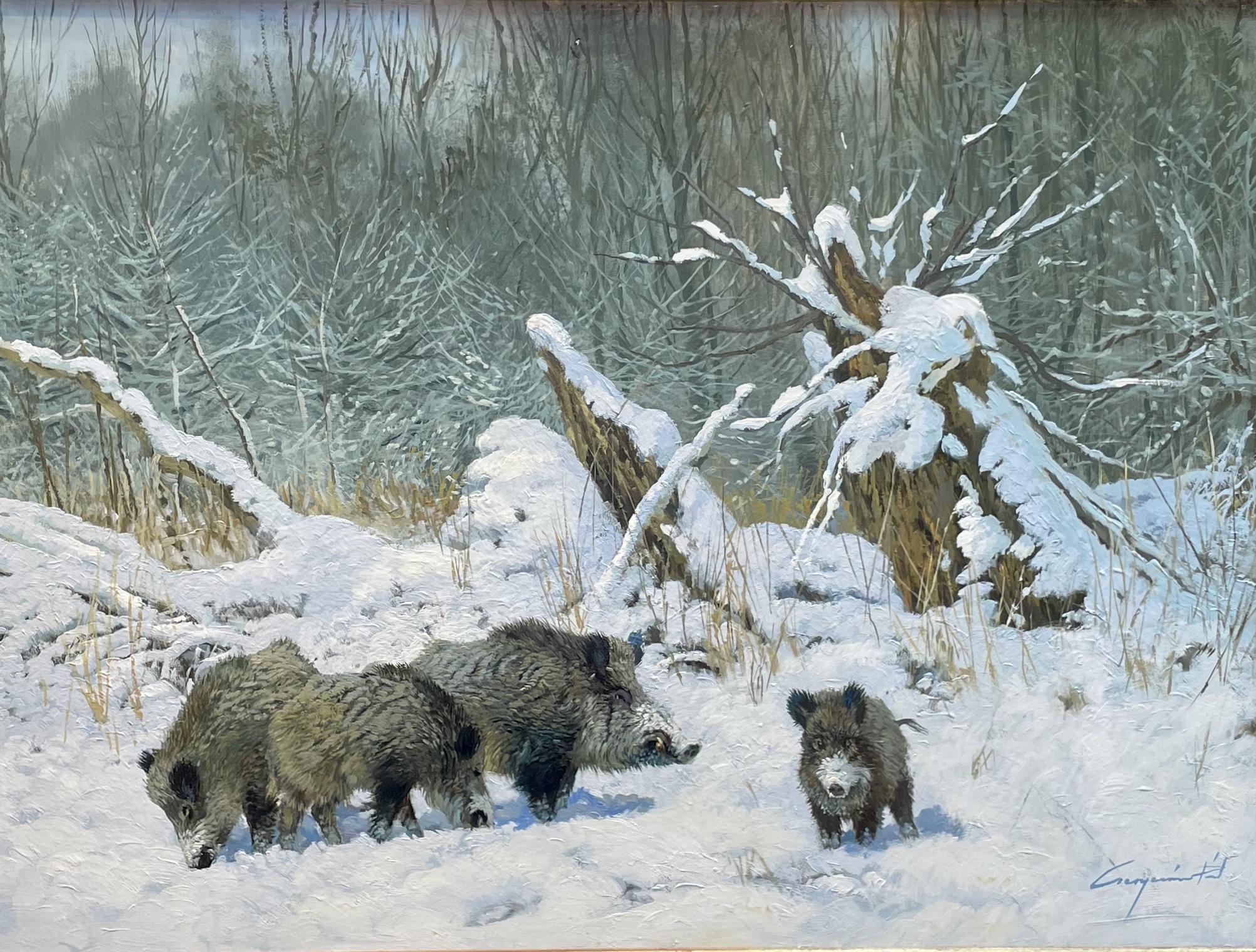 Csergezan, Pal – Schwarzwildrotte im Winter